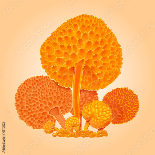 Group of orange fantastic mushrooms. Orange cartoon fungus. Hand