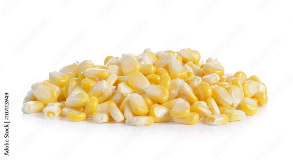 corn seed on white background corn seed on white background