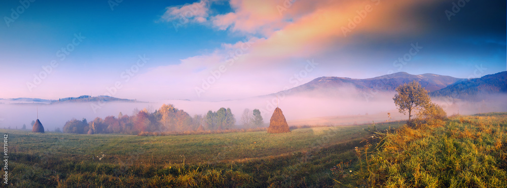 Obraz premium Misty autumn valley