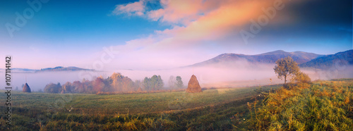 Misty autumn valley