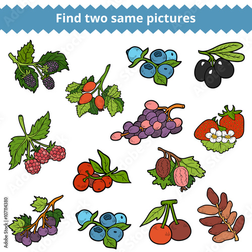 Find two same pictures. Vector set of berries