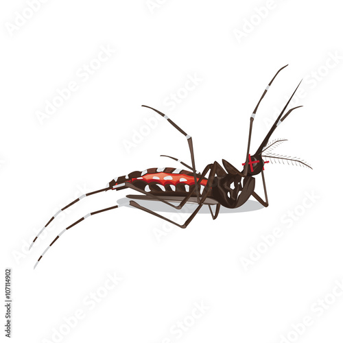 illustration. mosquito