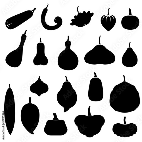 Squashes set