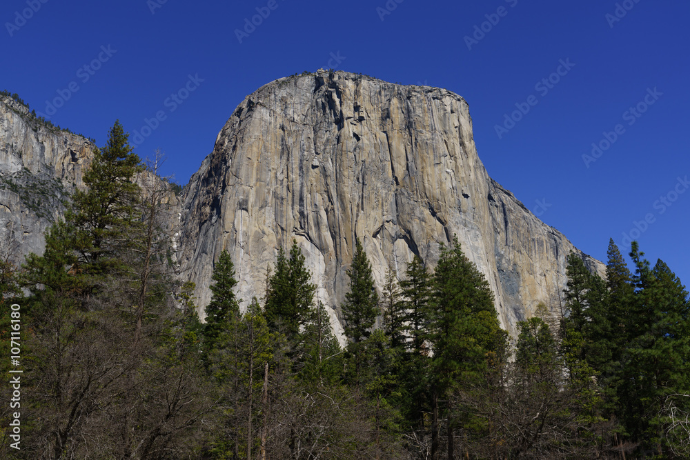 El Capitan in Yosemite National Park in Spring El Capitan in Yosemite National Park in Spring