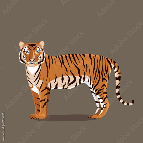 Fototapeta Naklejka Na Ścianę i Meble -  illustration. tiger stand