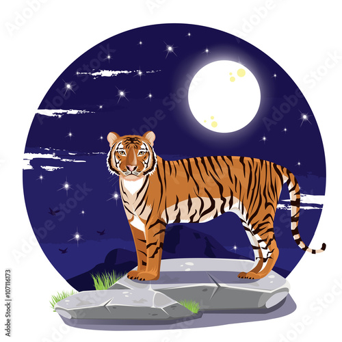 Fototapeta Naklejka Na Ścianę i Meble -  illustration. tiger stand