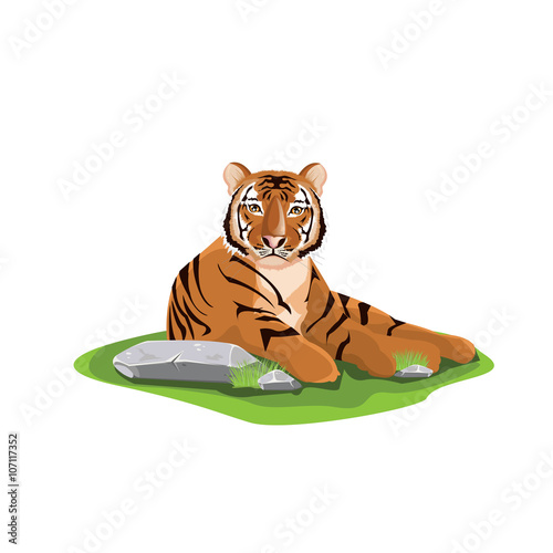 Fototapeta Naklejka Na Ścianę i Meble -  illustration. tiger