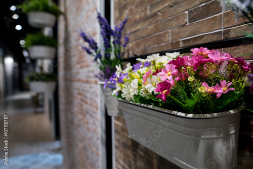 Wallpaper Mural flower in flower pod hang on brick wall Torontodigital.ca