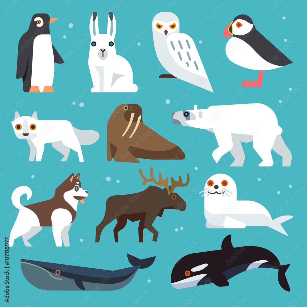 Polar animals icons. Polar birds and arctic northern animals vector set ...