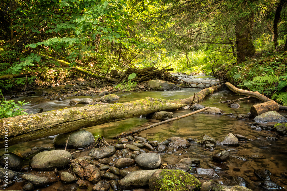 Beautiful landscape with small mountain river and a tree trunk fallen in the water Beautiful landscape with small mountain river and a tree trunk fallen in the water