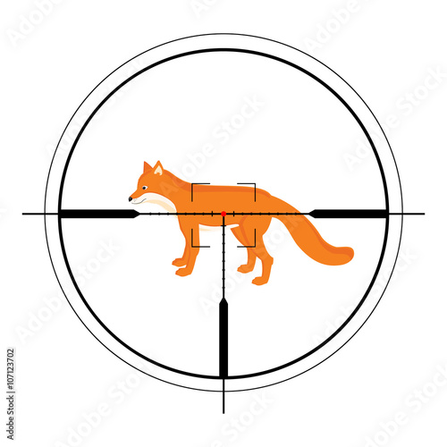 Animal target of hunting