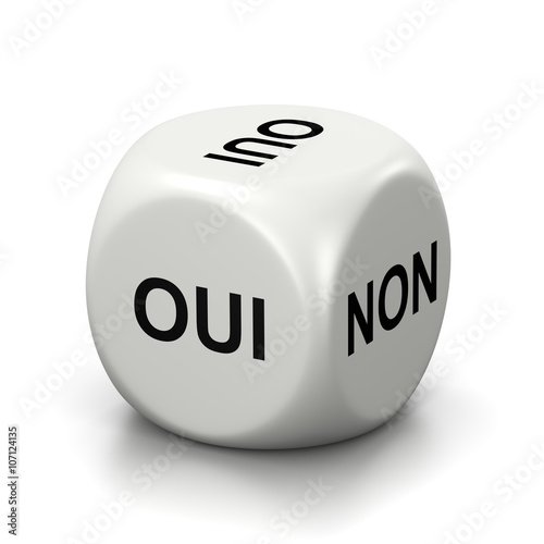 Yes or No French White Dice