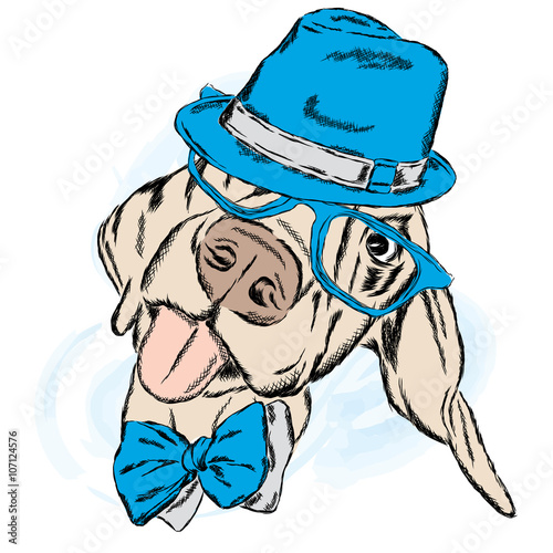 Cute dog in a hat and tie. Vector illustration.
