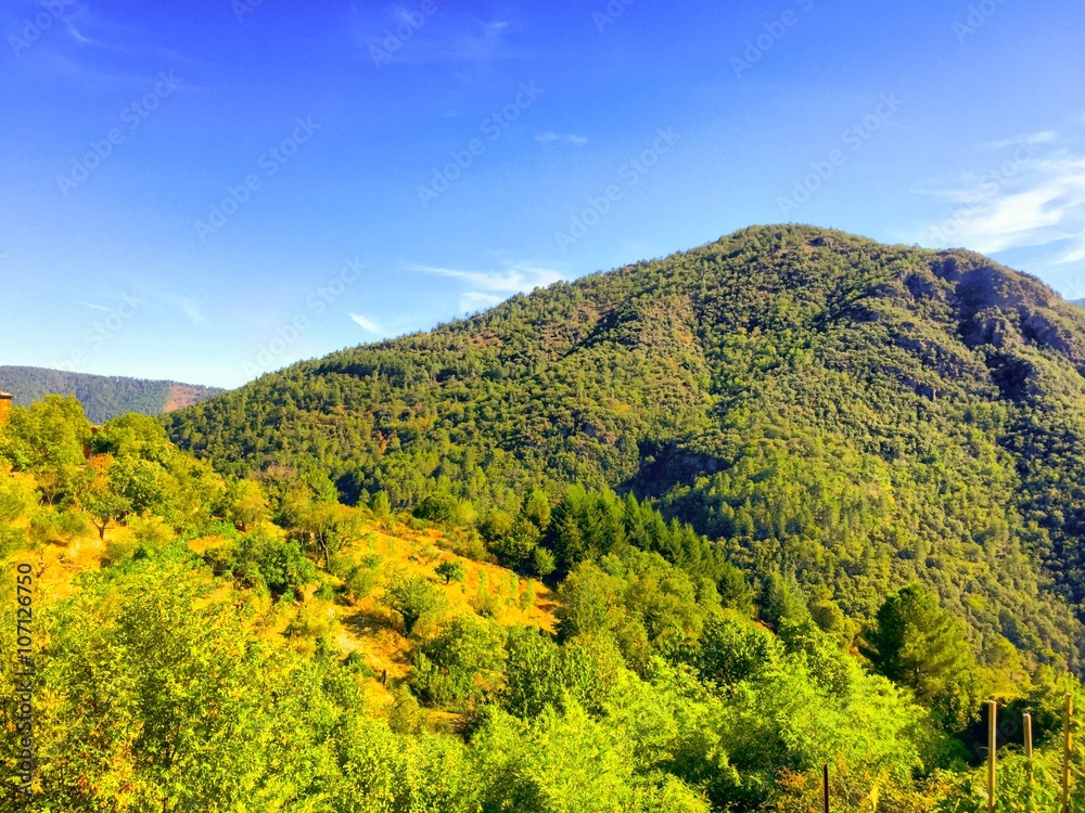 Obraz premium Mountain forests