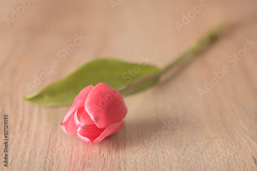 Red tulip on wooden background