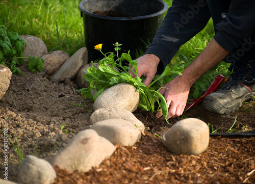 Wallpaper Mural Gartenarbeit Torontodigital.ca