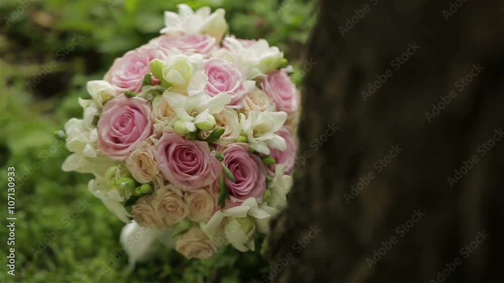 Decorative flowers on grass. Close-Up Decorative flowers on grass. Close-Up