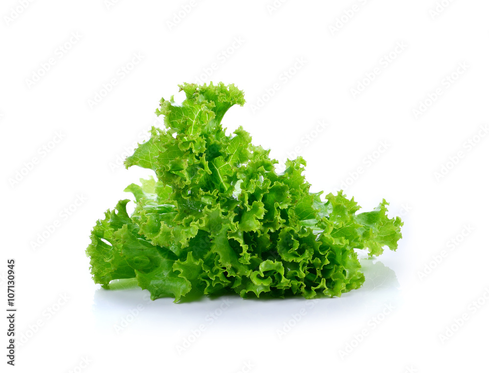 Fresh green lettuce on white background Fresh green lettuce on white background