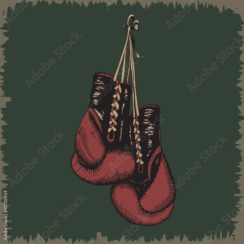 Boxing gloves.Vintage label 
