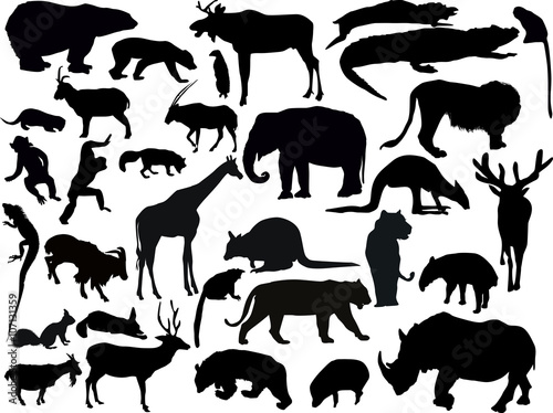 thirty two isolated animals  silhouettes