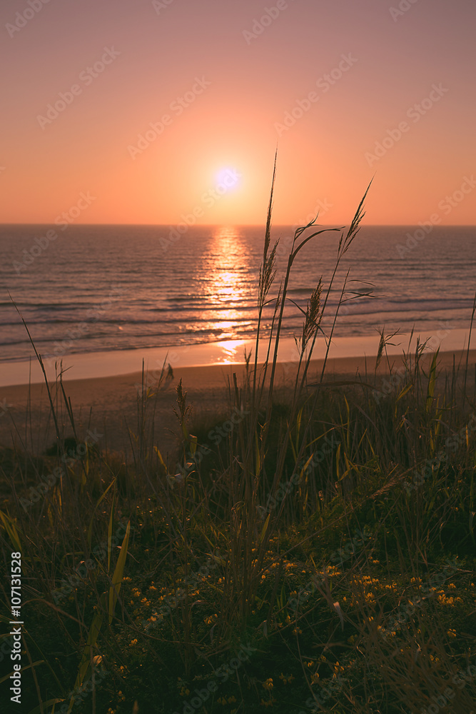 Naklejka premium Sonnenuntergang am Strand