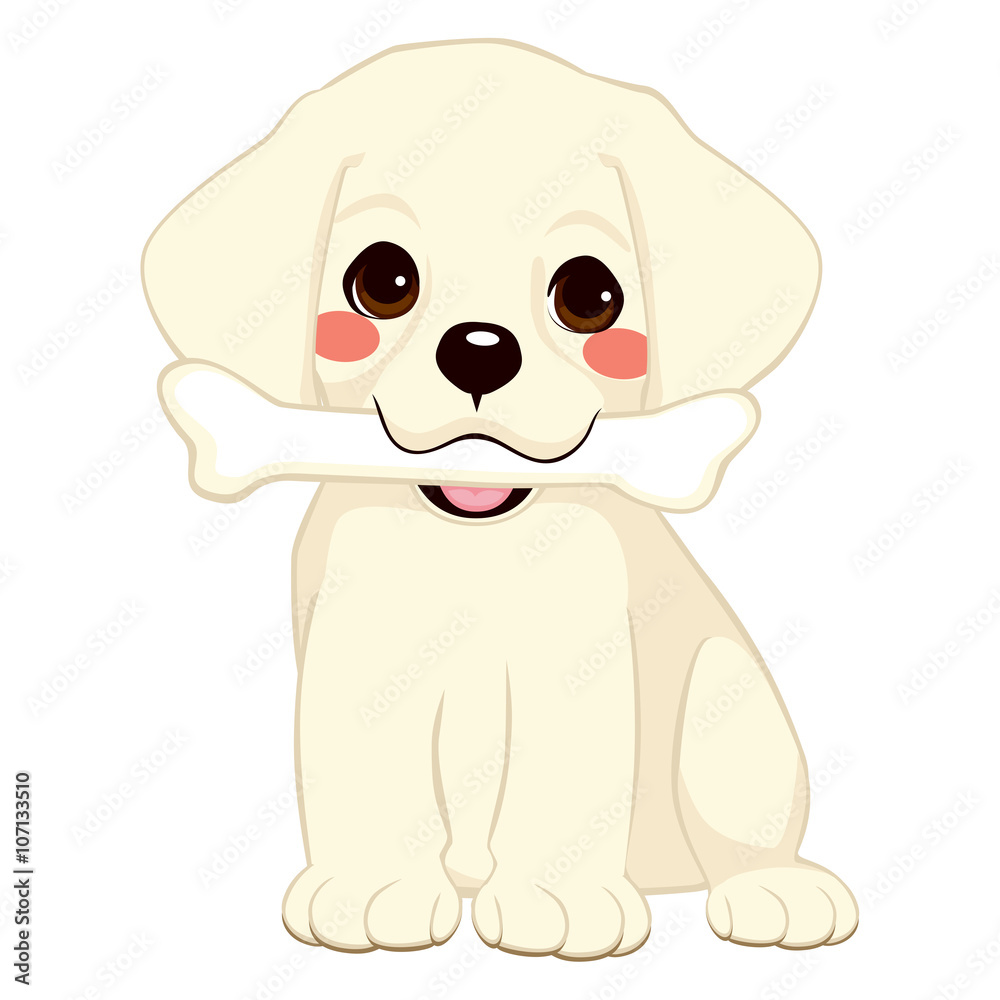 Cute dog puppy labrador holding big bone with mouth
