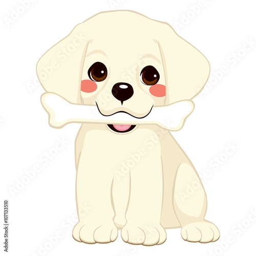 Cute dog puppy labrador holding big bone with mouth