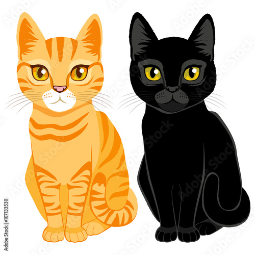 Cute cats on orange tabby and black color with orange and yellow eyes