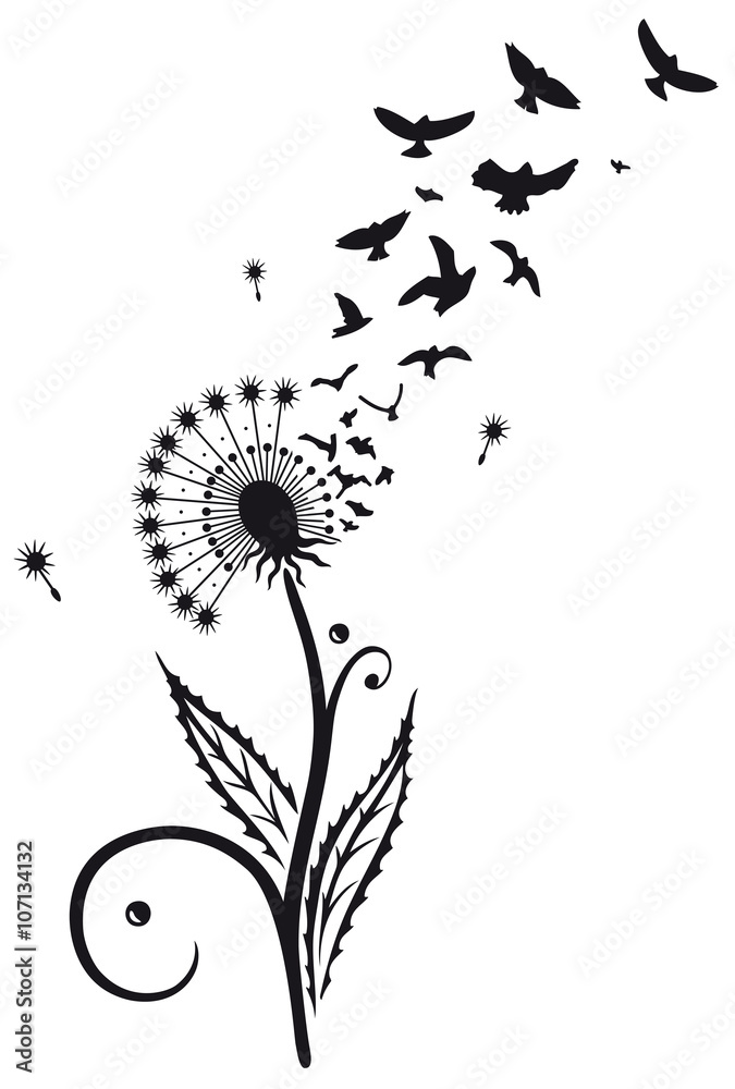 Obraz premium Große Pusteblume mit Vögeln