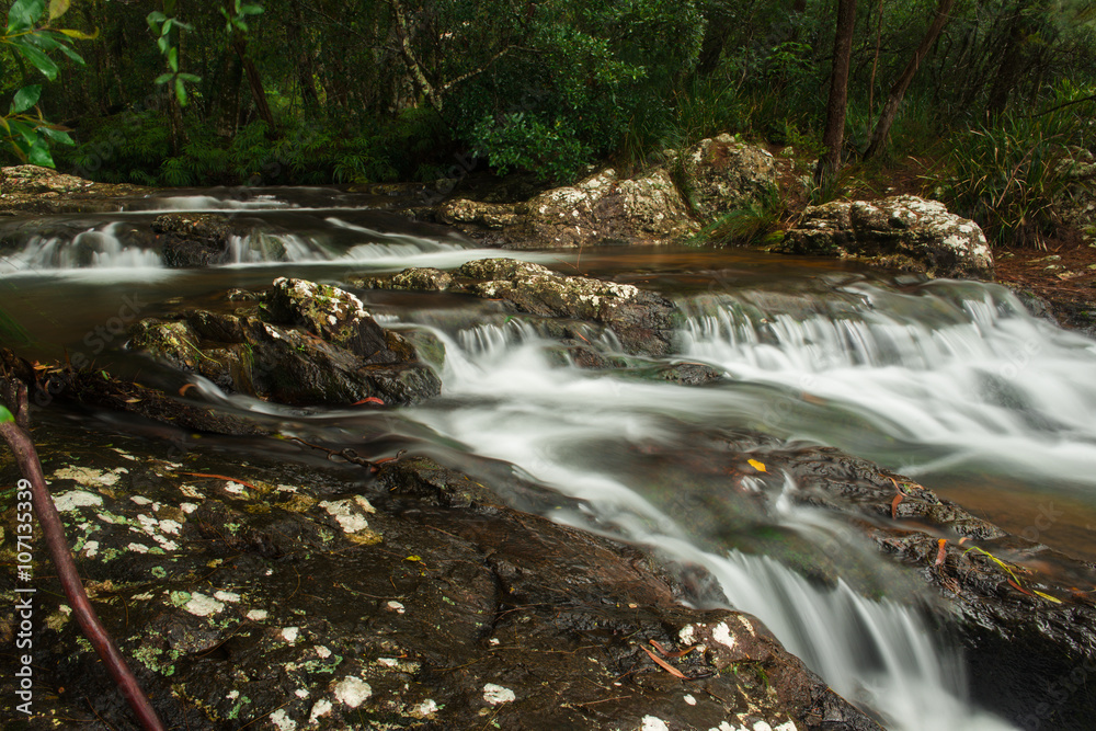 Fototapeta premium Goomoolahra creek at Springbrook National Park in Queensland.