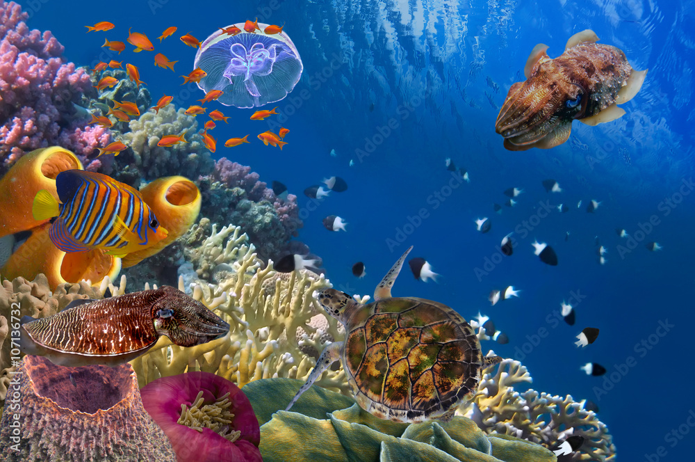 Obraz premium Colorful coral reef with many fishes and sea turtle