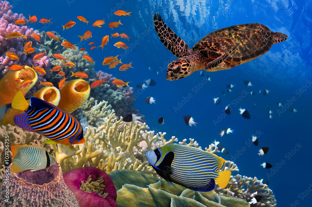 Naklejka premium Colorful coral reef with many fishes and sea turtle