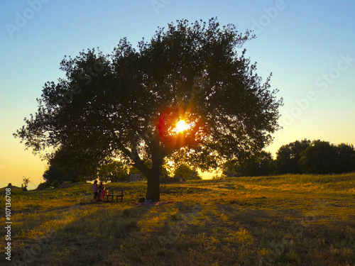 Tuscolo - Italy photo