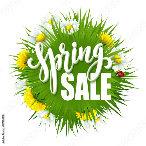 Fototapeta Naklejka Na Ścianę i Meble -  Fresh spring background with grass, dandelions and daisies. Vector illustration