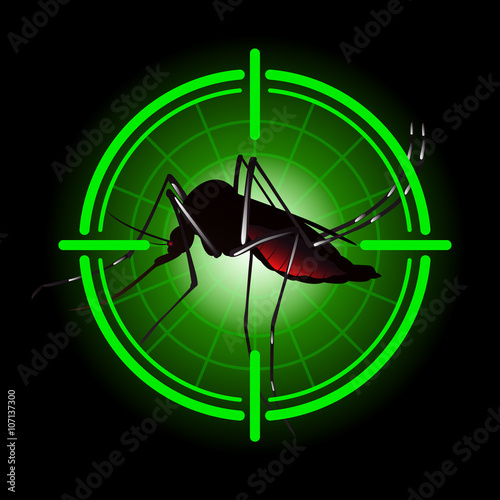 Common house mosquito or Culex pipiens with Green radar scan vector design