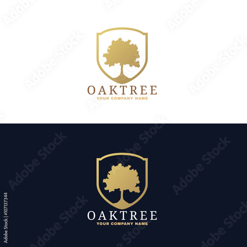Gold and dark blue Oak tree logo vector design