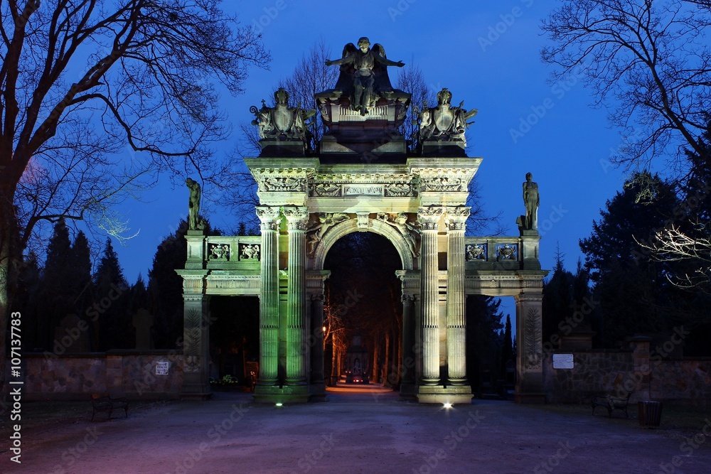 Fototapeta premium Cemetery gate