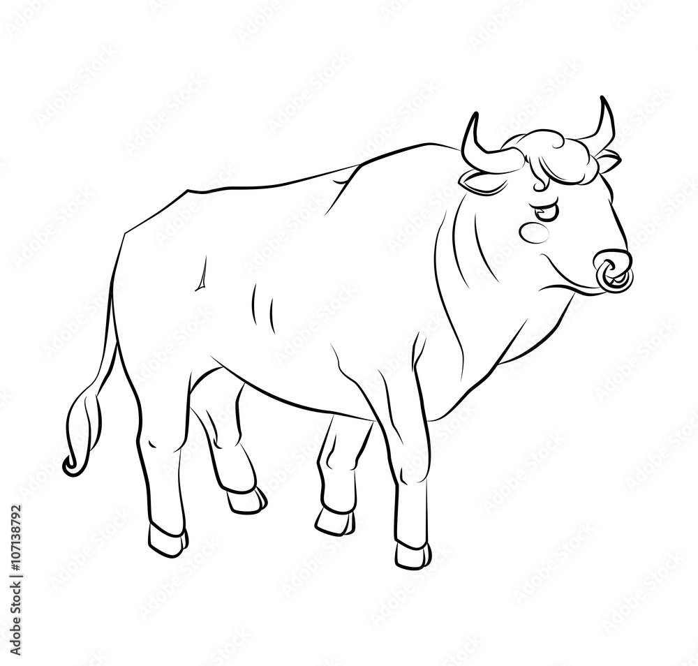 black and white image of a bull