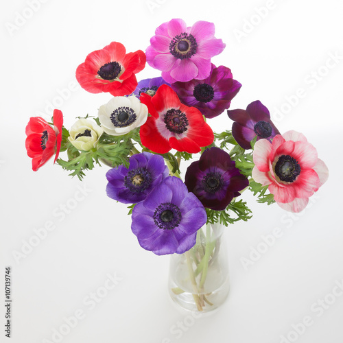 Fototapeta Anemone flowers bunch in a vase