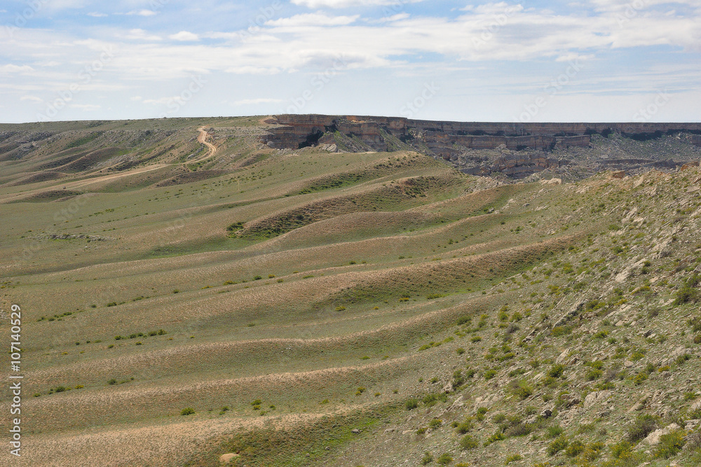 Obraz premium Steppe in spring. Nature landscape. Mangyshlak Peninsula, Kazakhstan.