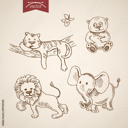 Fototapeta Naklejka Na Ścianę i Meble -  engraving lineart retro vintage vector