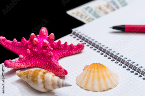 Blank open notepad with seashells, pen and dollar isolated on black background