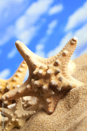 Fototapeta Naklejka Na Ścianę i Meble -  Starfish on summer beach and blue sky background
