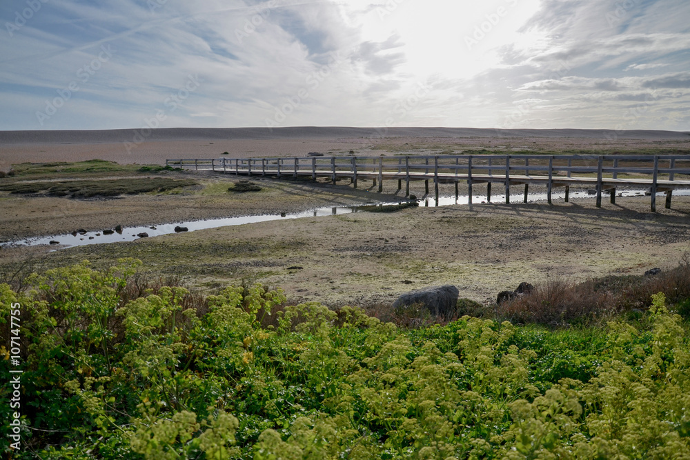 wooden bridge over the creek flowing to Fleet Lagoon in the dunes of Chesil Beach
Weymouth, Dorset, England