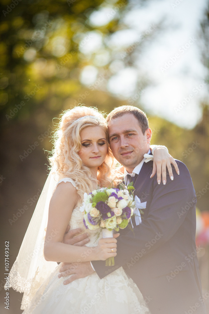 elegant stylish gorgeous blonde bride and groom on the backgroun elegant stylish gorgeous blonde bride and groom on the backgroun