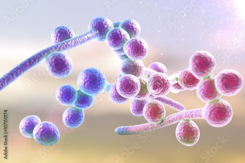 3D illustration of fungi Candida albicans which cause candidiasis, thrush, on colorful background. Pathological fungus or yeast. Microscopic view. Medical background. Healthcare background photo