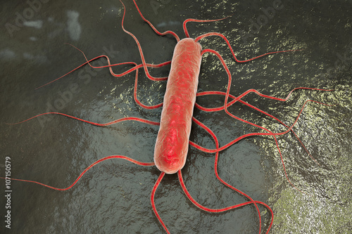 3D illustration of bacterium Listeria monocytogenes, gram-positive bacterium with flagella which causes listeriosis photo