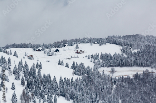 Alpine village on a flat snowy mountain area surrounded by fir trees.