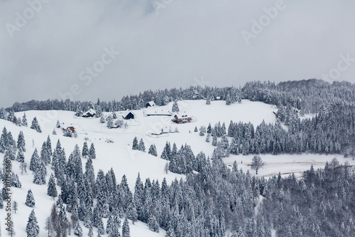 Alpine village on a flat snowy mountain area surrounded by fir trees. photo
