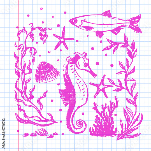 Sea life collection. Original hand drawn illustration